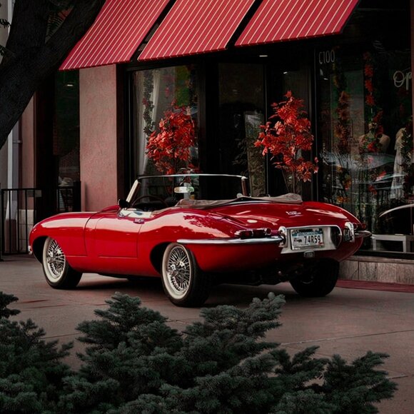 Meet the Posher Other - Meet your Posher, Graysen